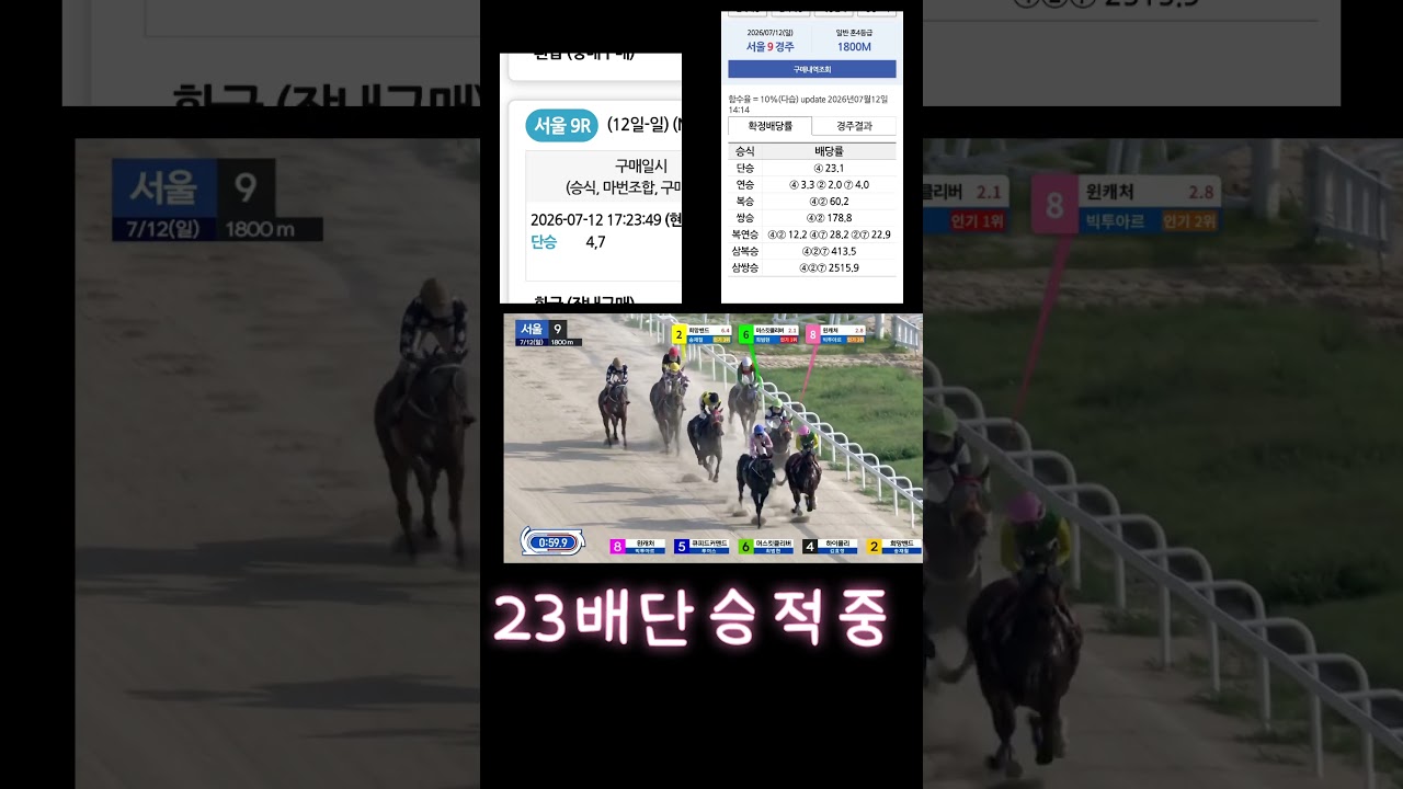 23배적중 가족분들한테미안합니다