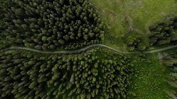 digital receipt by fiskaltrust