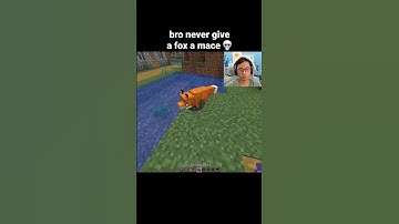 Minecraft Fox Moment
