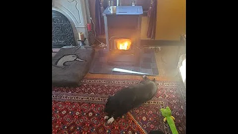 Pelpro PP130 Pellet Stove Review