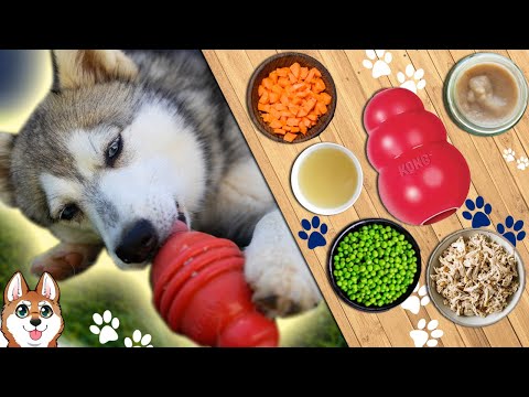 فيديو: هل يمكنك تجميد طعام الكلاب في كونغ؟
