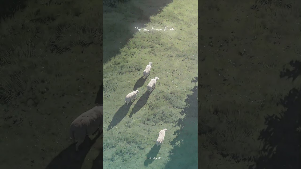 Allah 💗 Allah 🤍 Allah 🩷