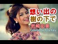 『想い出の樹の下で』岩崎宏美【Covered by Karu Karu】歌ってみました。