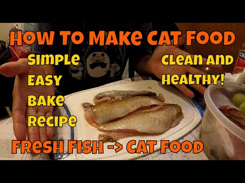 Homemade Cat Food From Fresh Fish? Bake Recipe c: