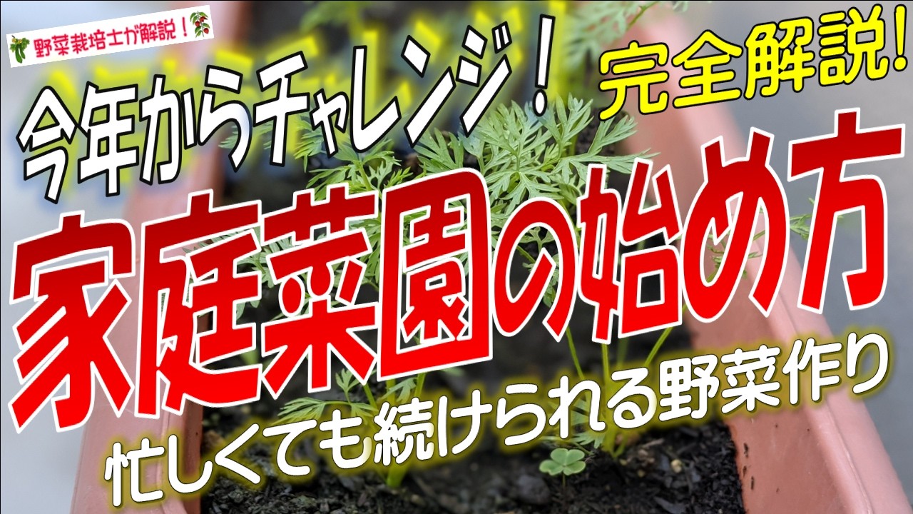 自分でお野菜作りませんか？ 家庭菜園の始め方【誰でも簡単！気軽に始められる野菜作り】 - YouTube