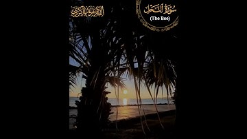 "ويوم نبعثُ في كل أمَّةٍ شهيدًا عليهم من أنفُسِهم" تلاوة عذبة آسرة من سورة النحل - الشيخ رعد الكردي