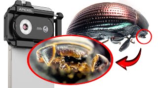 Insane Magnification Apexel 300Mm Microscope Lens For Smartphone