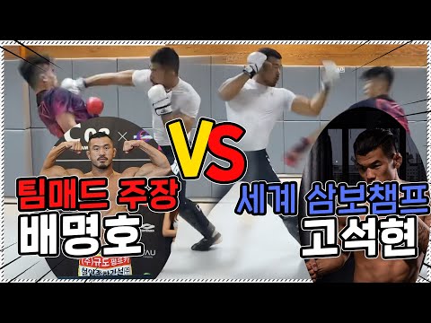   격투기 챔피언 배명호vs 삼보세계챔피언 고석현 진지한 스파링 종합 Mma룰