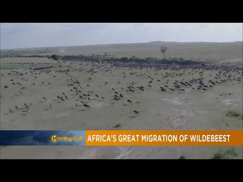 Vidéo: Les meilleures destinations pour un safari africain en famille