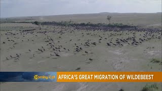 La Tanzanie : meilleure destination safari Afrique