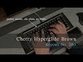 Keycult No. 2/65 / Cherry Hyperglide Brown Switch Sound Test