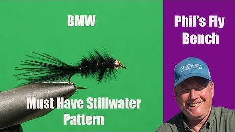 BMW (Brian