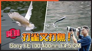 時隔 9 年終於更新！Sony 100-400mm f/4.5 GM 評測：變焦追焦快 5 倍？鳥攝林村河！
