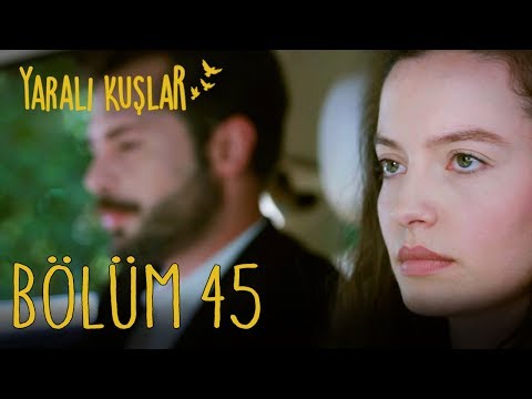 Yaralı Kuşlar 45. Bölüm