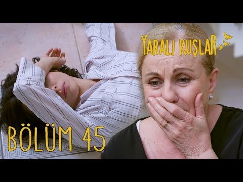 Yaralı Kuşlar 45. Bölüm