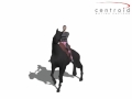 Centroid motion capture library  horse data