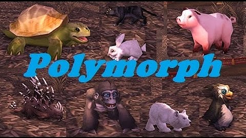 Polymorph on PandaWoW