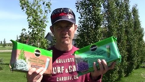 How to install Miracle Grow tree fertilizer spikes (I did 240 in 8 Hours)