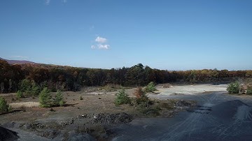 The Fossil Forest in Autumn: Clip D