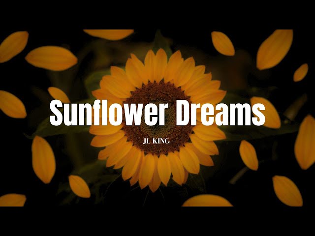 Sunflower Dreams🌻.... | Song Sunflower Dreams