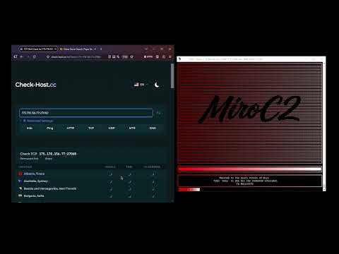 MIRO C2 VS CHINESE GAME SERVER