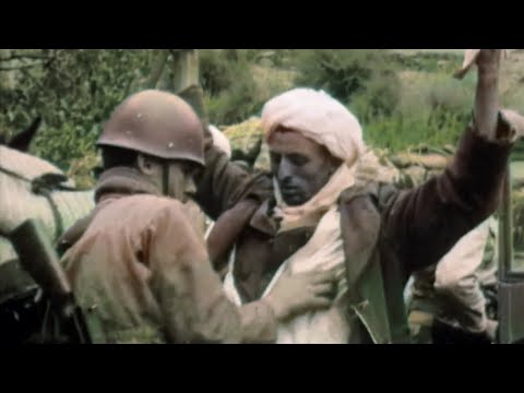 La Toussaint Rouge, un sombre chapitre de l'histoire franco-algérienne