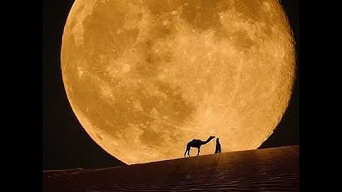 الشيخ أبوبكر مومني صلاة التروايح 10 رمضان 1438 هـ _ ما تيسر من سورة يوسف 2