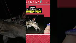 聞けば聞くほど“1投目から投げたくない”ルアー。APIAの2024NEWモデル【MAYOL(マイヨール)70SL】