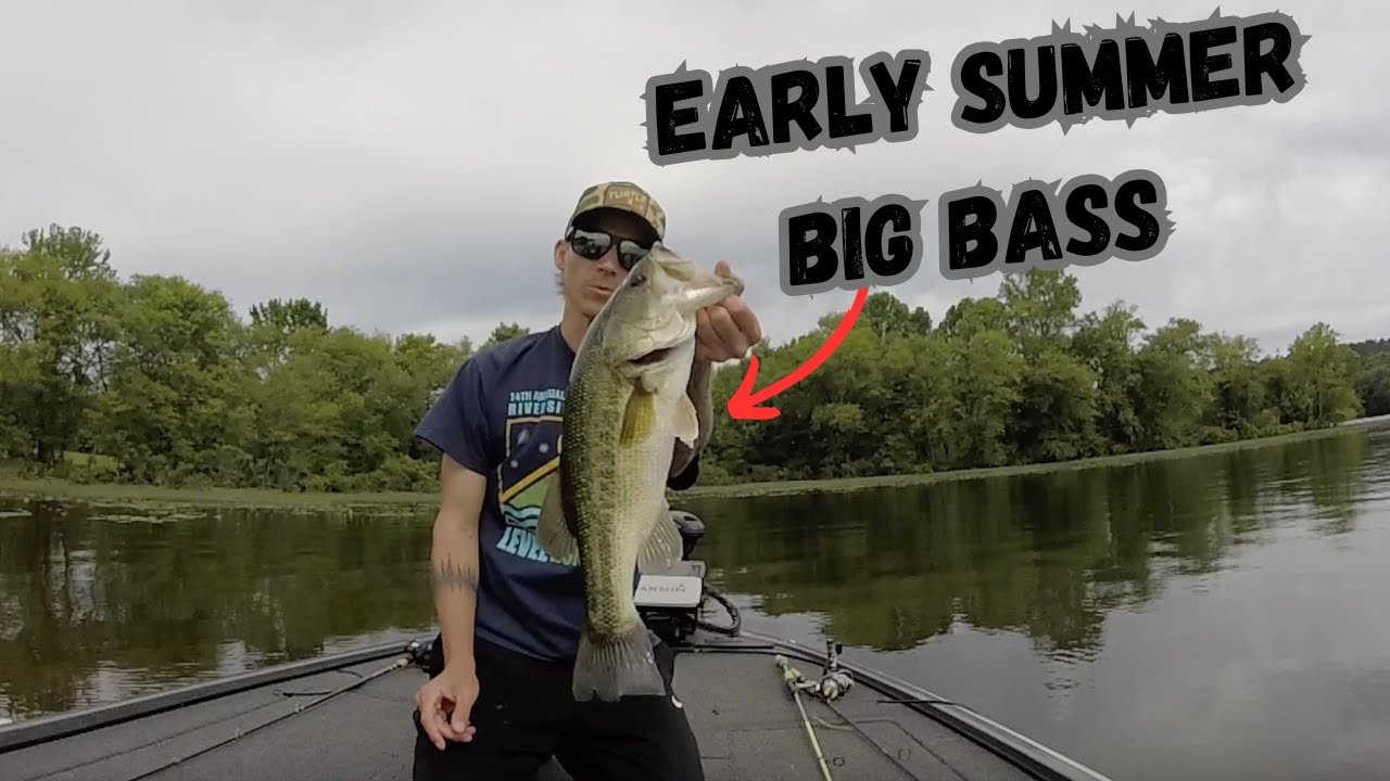 Early Summer Big Bass (Frog Fishing)