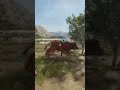 Wifey bagged a diamond cape buffalo 🐃 with the new .500 🔫 - thehunter: call of the wild #cotw