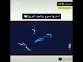 امشيها معوج يرفعوك لفووق