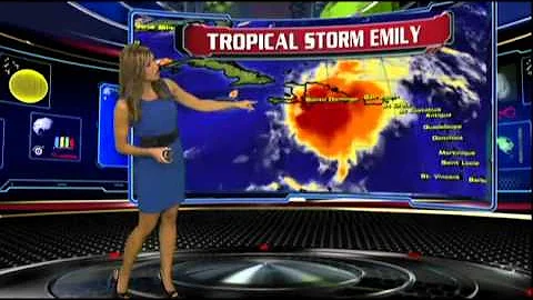 WSVN-TV 7NEWS Julie Durda hot blue dress 8/4/2011