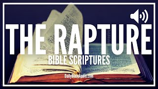 Bible Verses About The Rapture | What The Bible Says About Being Raptured (Caught Up To Heaven) Profile