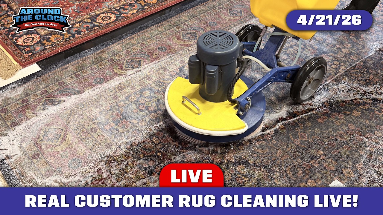Real Rug Wipe LIVE Rug Cleaning! #cleanwithme #rugwashing - YouTube