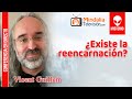 ¿Existe la reencarnación?, por Vicent Guillem