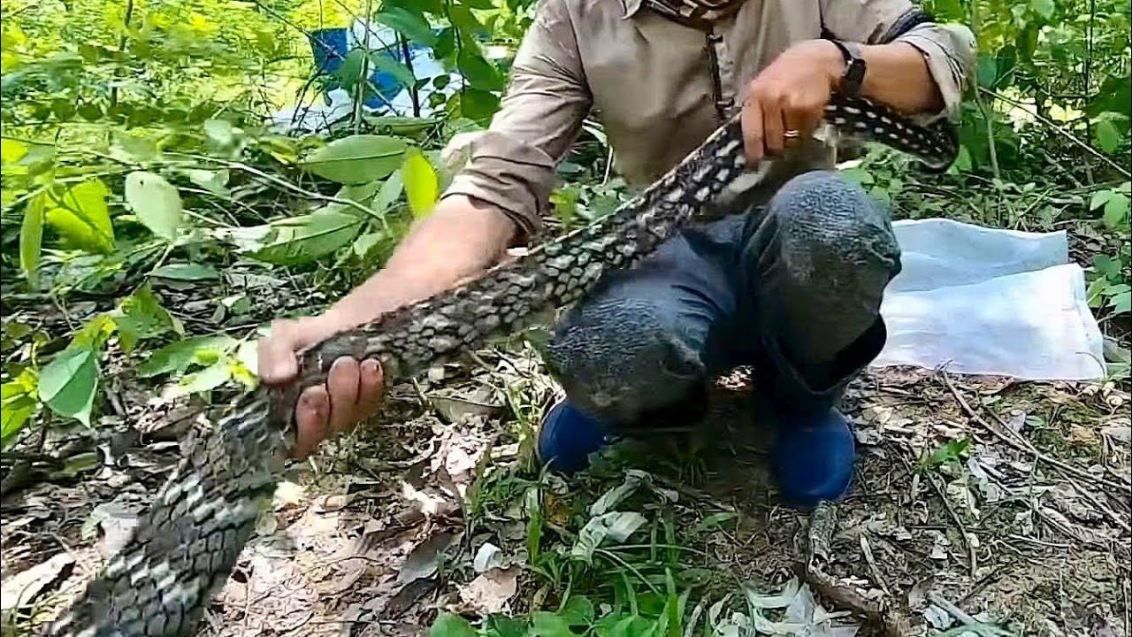 Dính Được Con Nầy Hoang Mang quá