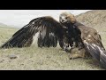 view Meet the Nomad Girl Who Hunts With a Golden Eagle digital asset number 1
