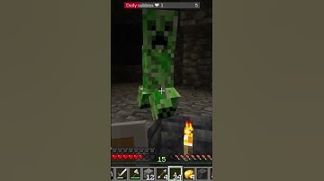 The Average Minecraft Experience #vtuber #twitch