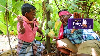 சாக்கலேட் பழம் பறித்து Dairy Milk செய்யலாம் குட்டிசிறுத்தையுடன்|Choco Fruit Hunting|VillageSafari
