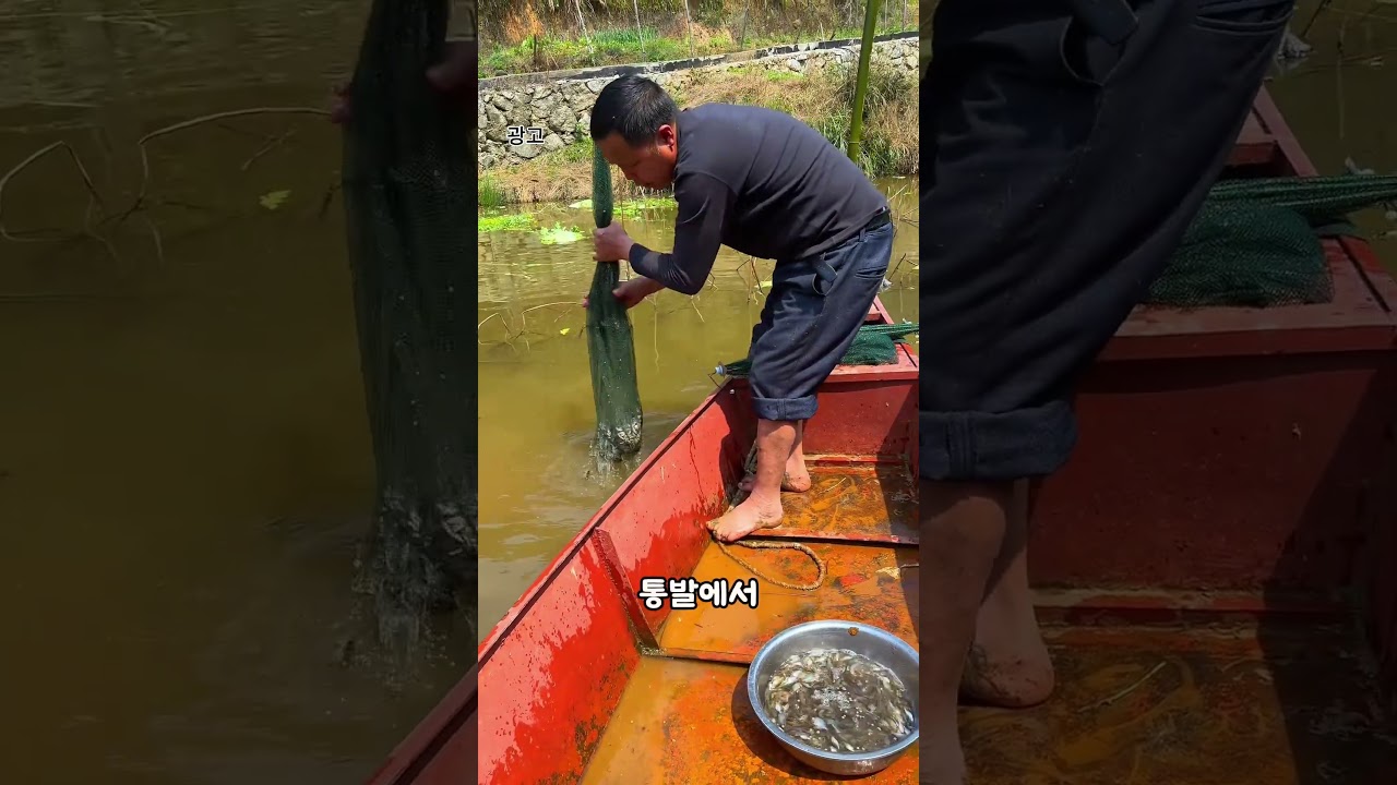 우산 통발을 아시나요?