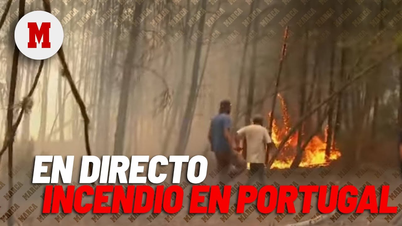 EN DIRECTO I Incendio en el municipio de Trancoso, Portugal