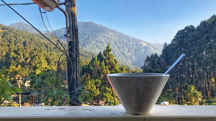 出门走走 凉爽的山区 奋起湖 - 天天要闻