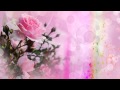 Фон для видеомонтажа Pink Roses HD Background
