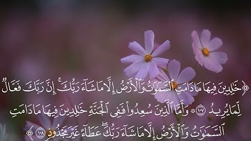 ما تيسر من سورة هود🌹القاريء عبدالرحمن حسن رضوان