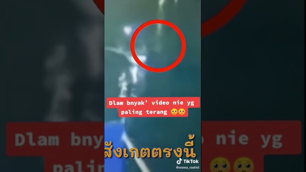 Leaked Tangmo Nida Dead Body Photos And Videos Leaked On Telegram, Twitter, Reddit, \U0026, Youtube #Fyp