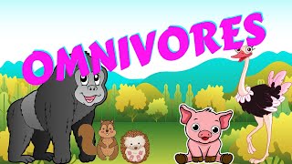 Omnivores | Types of Animal | Science for Kids - YouTube