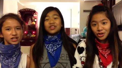 "The Lazy Song" Fan Video