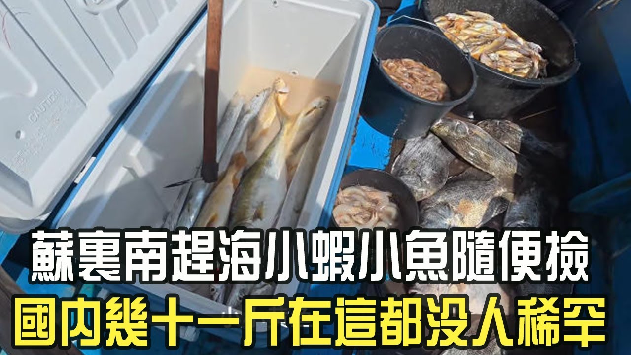 蘇裏南趕海小蝦小魚隨便撿，國內幾十壹斤在這都沒人稀罕，專挑大貨
