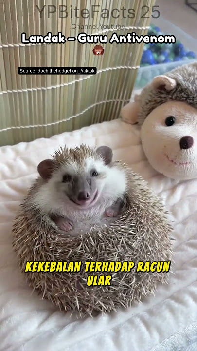 7 Hewan Aneh yang Diam-Diam Nyelametin Manusia! 🧬🐾