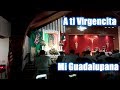 A ti Virgencita Mi Guadalupana (Que viva la Reina de los Mexicanos}